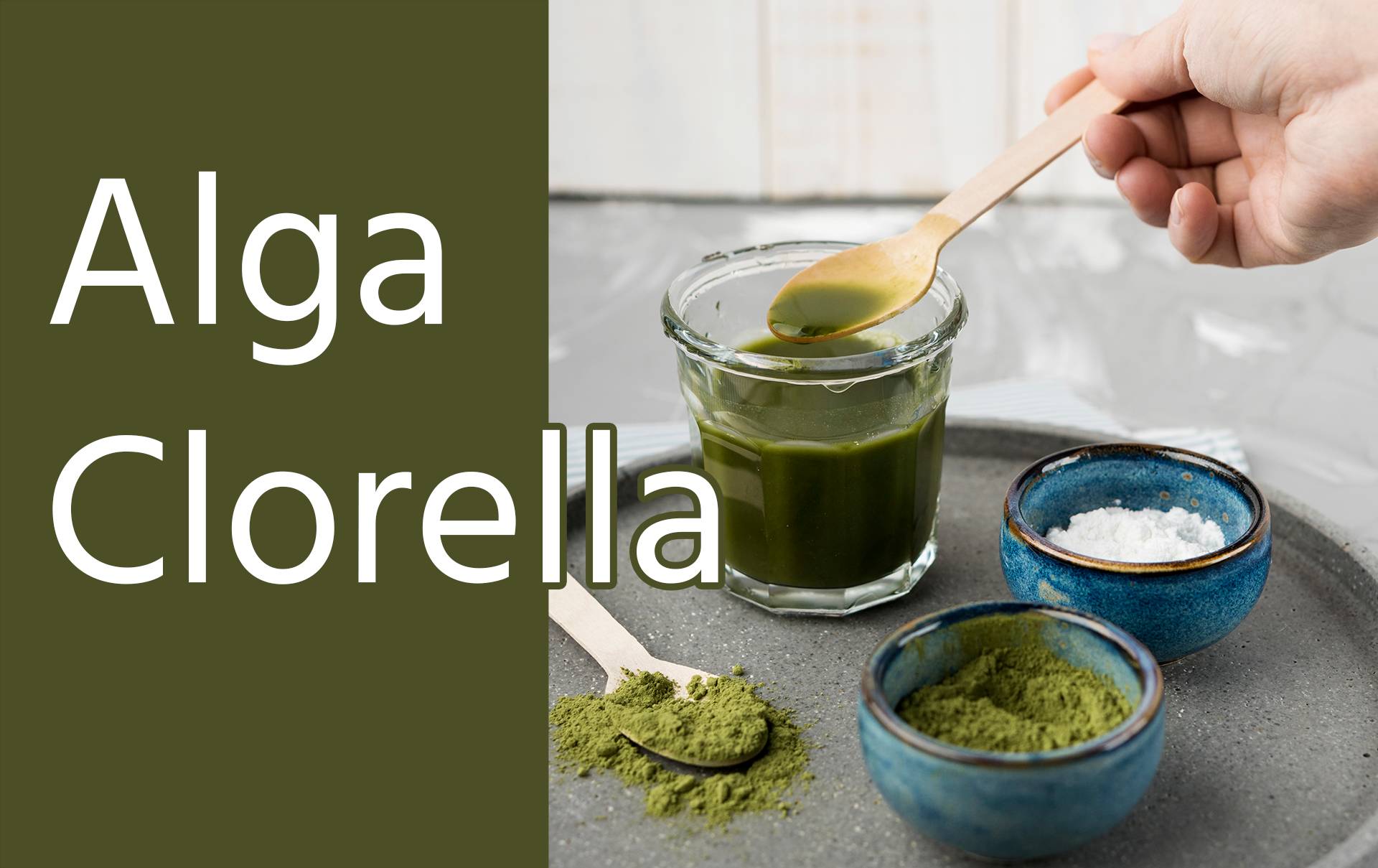 Alga Clorella, composizione, nutrienti, proprietà
