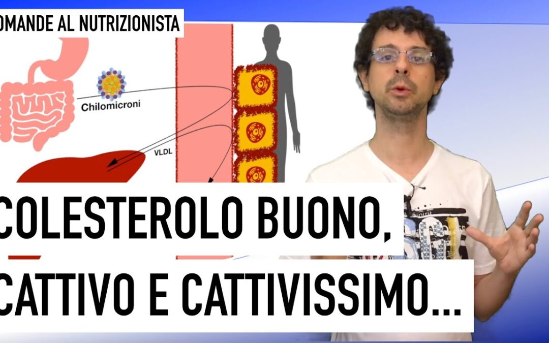 Colesterolo buono, cattivo e cattivissimo.