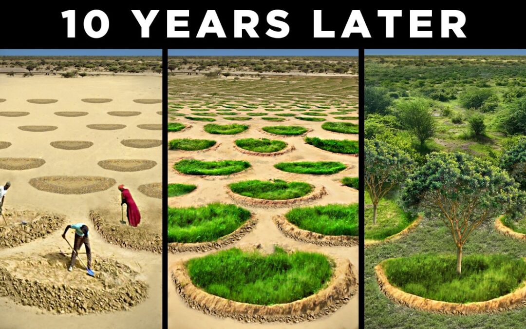 Il mega-progetto della Grande Muraglia Verde Africana
