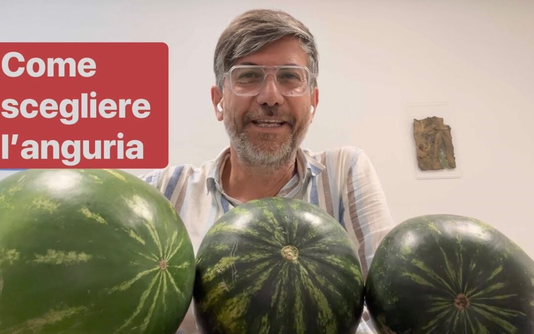 Come scegliere l’Anguria più dolce? Spiegato da un agronomo.